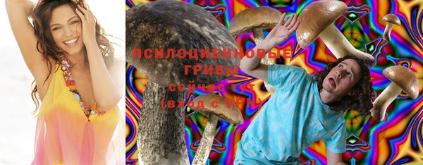 метамфетамин Богданович