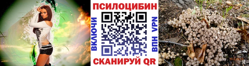 Галлюциногенные грибы прущие грибы Дюртюли